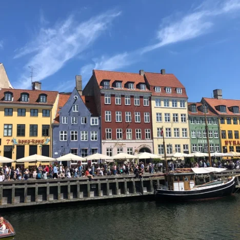 6 Highlights für Madeira, die „Blumeninsel“