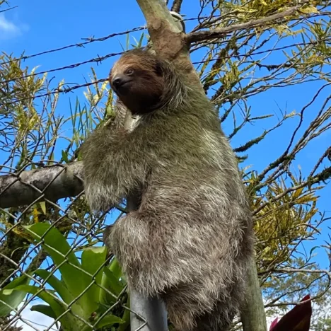 10 Tage in Rumänien: Ein unvergessliches Abenteuer