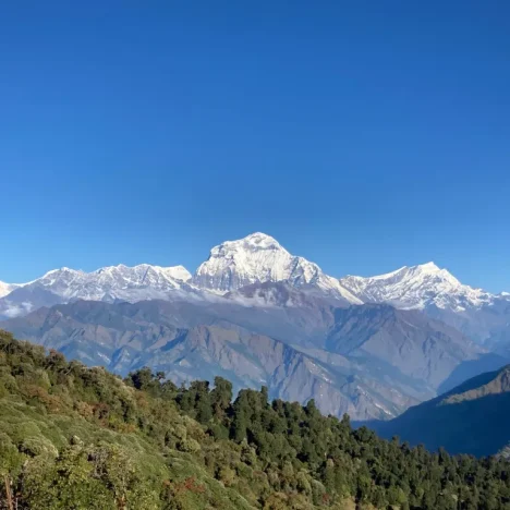 5 Highlights für Monaco – Luxus und Meer an der Côte d’Azur